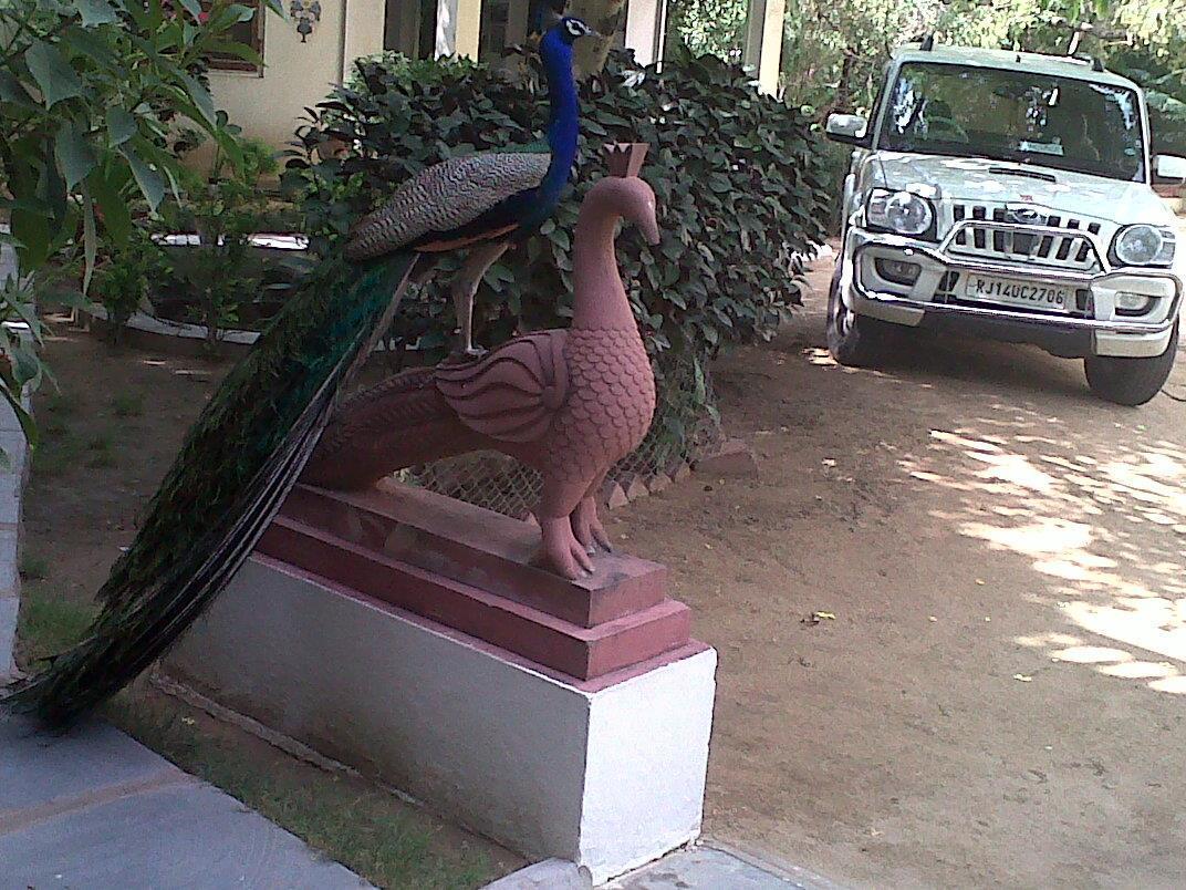 Shahar Palace Jaipur Luaran gambar